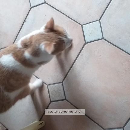 Minou Perdu tweet media