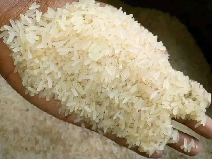 JamiluSufi's tweet photo. Enjoy Jamila Rice from the north! Premium, local, & affordable. Delivered in Lagos. Call 09152970754. #JamilaRice #LocalRice #RiceDelivery https://t.co/OTF2NYCgiN