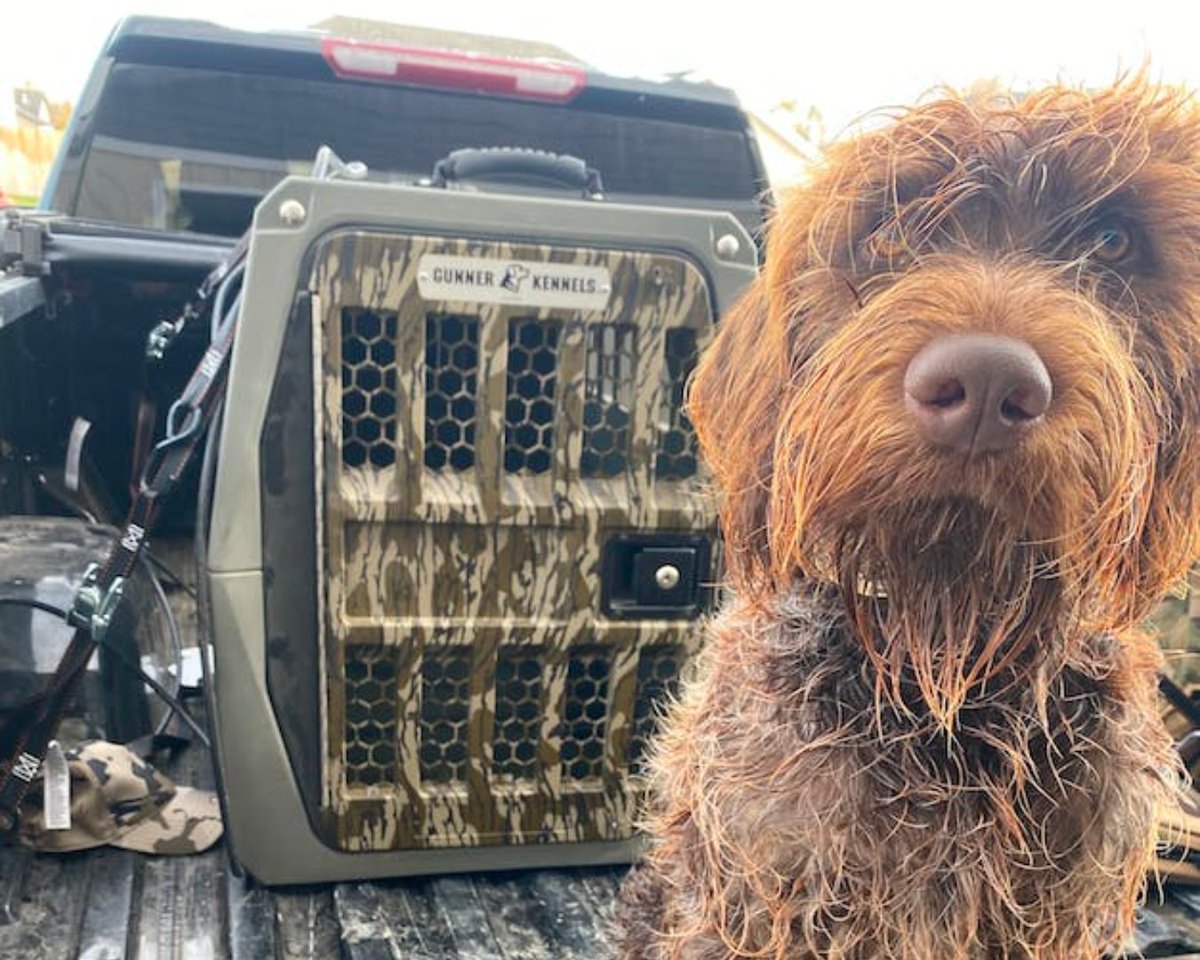 Beards of all shapes and sizes. We love to see it.