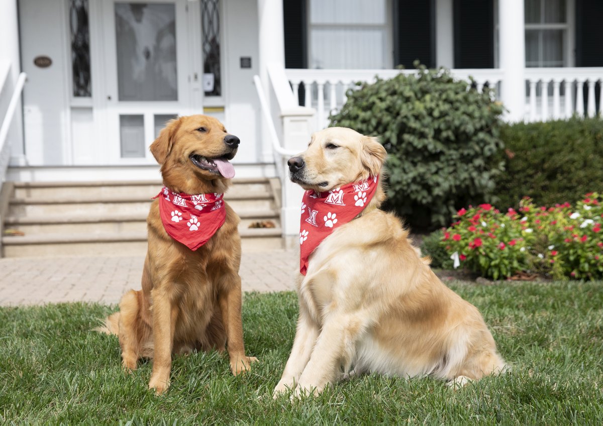 Miami University tweet media