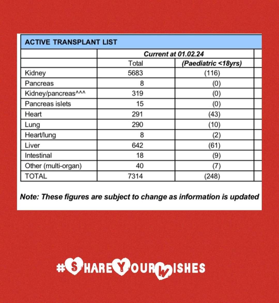 Share Your Wishes tweet media