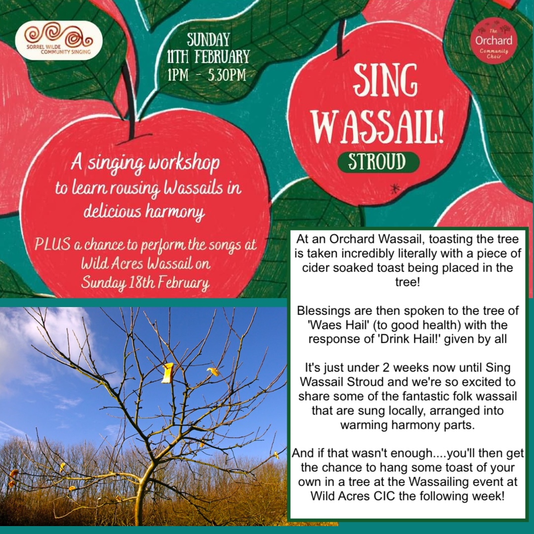 Come together at our #stroud hub on Sunday 11th Feb for an afternoon of learning traditional & contemporary arrangements of Wassail songs in gorgeous warming harmony. 1pm-5:30pm. See all info + booking details on Facebook event page at: ow.ly/SeHr50QwiGh #gloucestershire