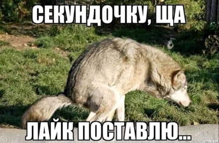 клайпедрилло 👇😹😹