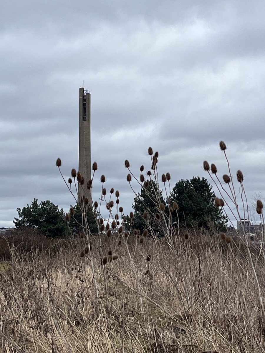 A cold, windy day at Sixfields this morning but with a great turn out. There was even a chair here already! #usknorthampton @JeanEd70 @Teckmanart