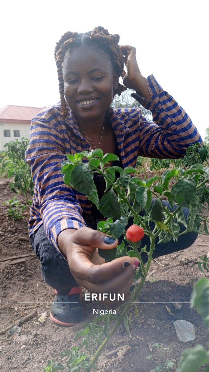 A perfect blend of grace and grit, she embodies the essence of agriculture. Here's to celebrating the beauty of both the farmer and the farm! 🚜🌺 #FarmBeauty #HarvestJoy #EYiUF