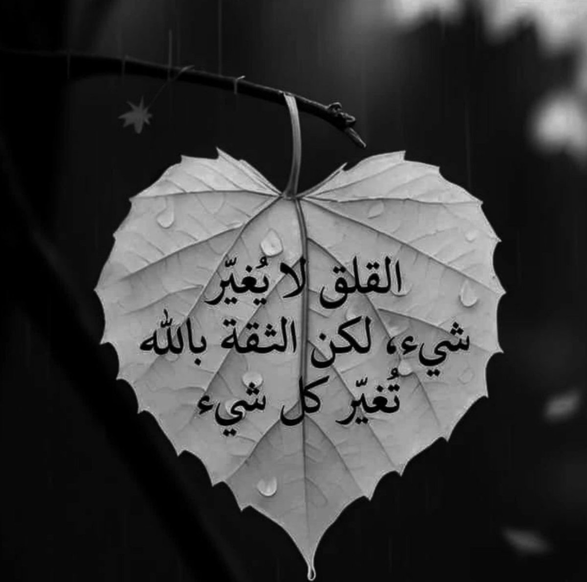 MA_____6666's tweet photo. #ماذا_يحدث_بميناء_صلالة 
#مساء_الخير 
مساء الروقان https://t.co/Zzm8eWknrk