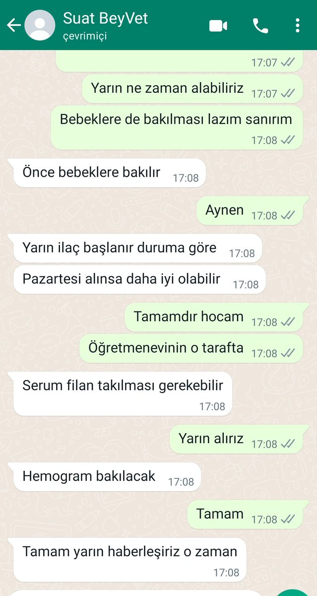 🚨 Destek ilanı 🚨
Öğrenciler bulmuş bu çocuğu, benim numaramı bulmuşlar ve aradılar. Kuyruğu kırık, yeni gebeliği var. Yarın kliniğe aldırıyorum. Klinik 60 km ötede olduğu için yarın petnakil gelecek. Öncelikle petnakil masrafına destek ihtiyacım var. Hepsi için klinik hesap+