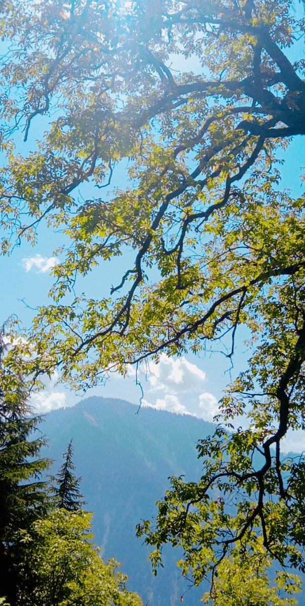 khawaja_nabila's tweet photo. Adopt the pace of nature.
“Nature is the source of all true knowledge.
#OTDirecto2F #earthquake #KiVi2F #FATE_IN_NEWCLARKCITY #boerenprotest #தமிழகவெற்றிகழகம் #INDvsENGTest #beauty #beautifulnature https://t.co/yIyiygGUNj