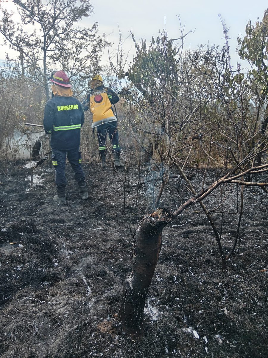 DNdeBomberosUy's tweet photo. 🚨 Ayer se registraron más de 100 incendios solamente en la zona metropolitana, algunos incluso con riesgo a fincas.

⚠️ El riesgo de incendios es: 

🔴 𝗠𝗨𝗬 𝗔𝗟𝗧𝗢 🔴 https://t.co/XqPOTOUN7j