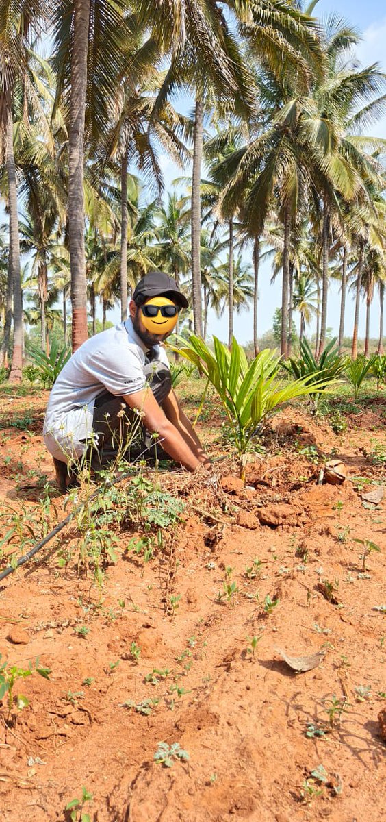 Ravikumar_1306's tweet photo. A Memorable day🥰
Tree plantation 🌿 and maintenance activity from my company ❤️ at BAIF, Lakkihalli, Tiptur, Karnataka.
@tataelxsi #Savetrees
#Bangalore #TataElxsi #BAIF #Treeplantation #NGO https://t.co/udqH2dmO4r