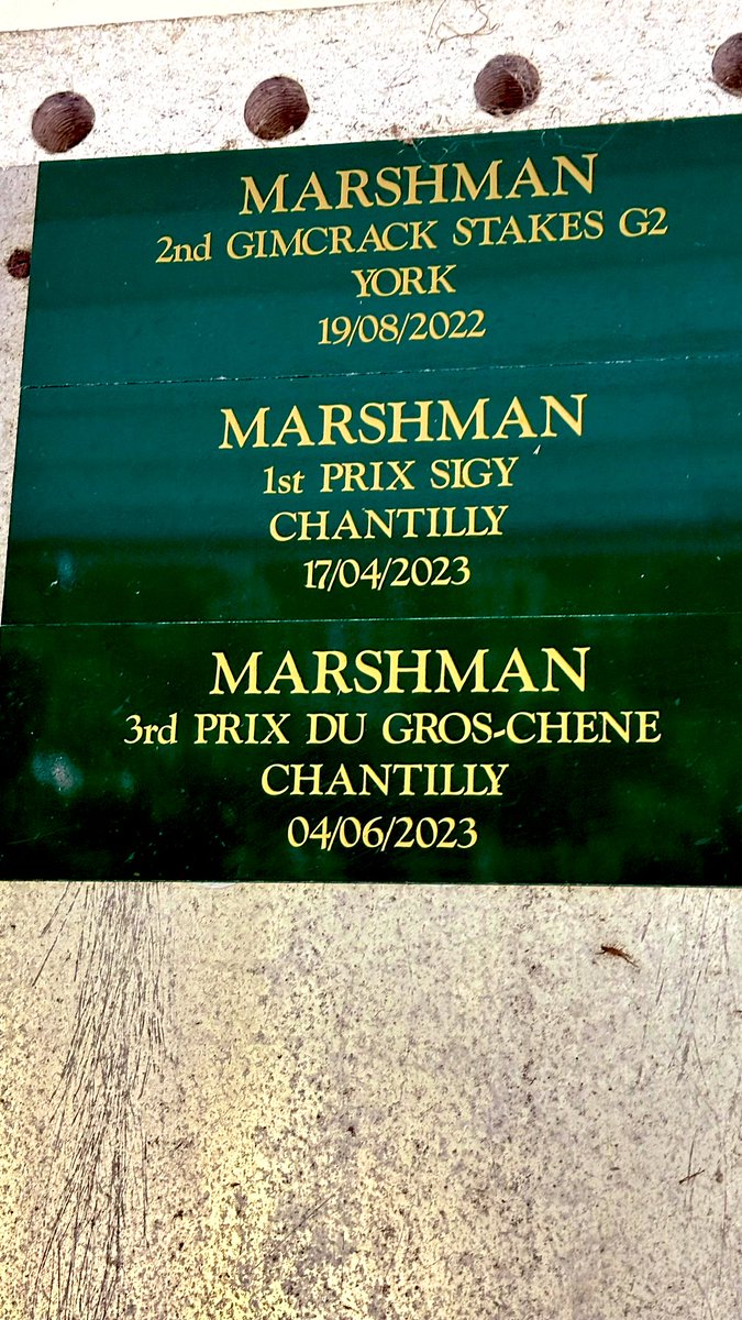 Doon1976's tweet photo. Was good to see the main man has grown over the winter and looks the best he ever has done.

A busy season ahead for #Marshman after mixed luck last year. https://t.co/dS2ZiOn167