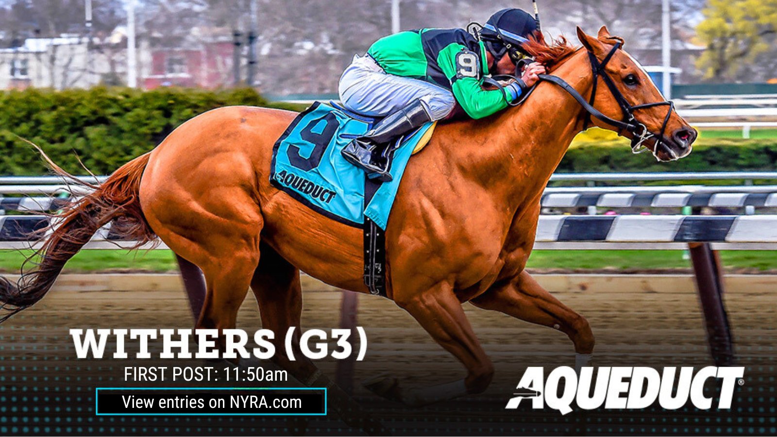 Breeders Cup 2024 Entries Friday Suzy Othilie