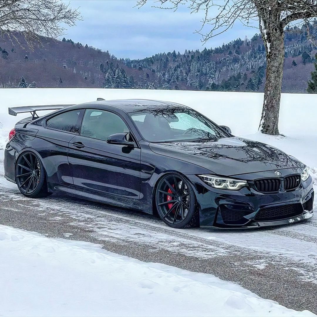 Snow beast ❄️🖤