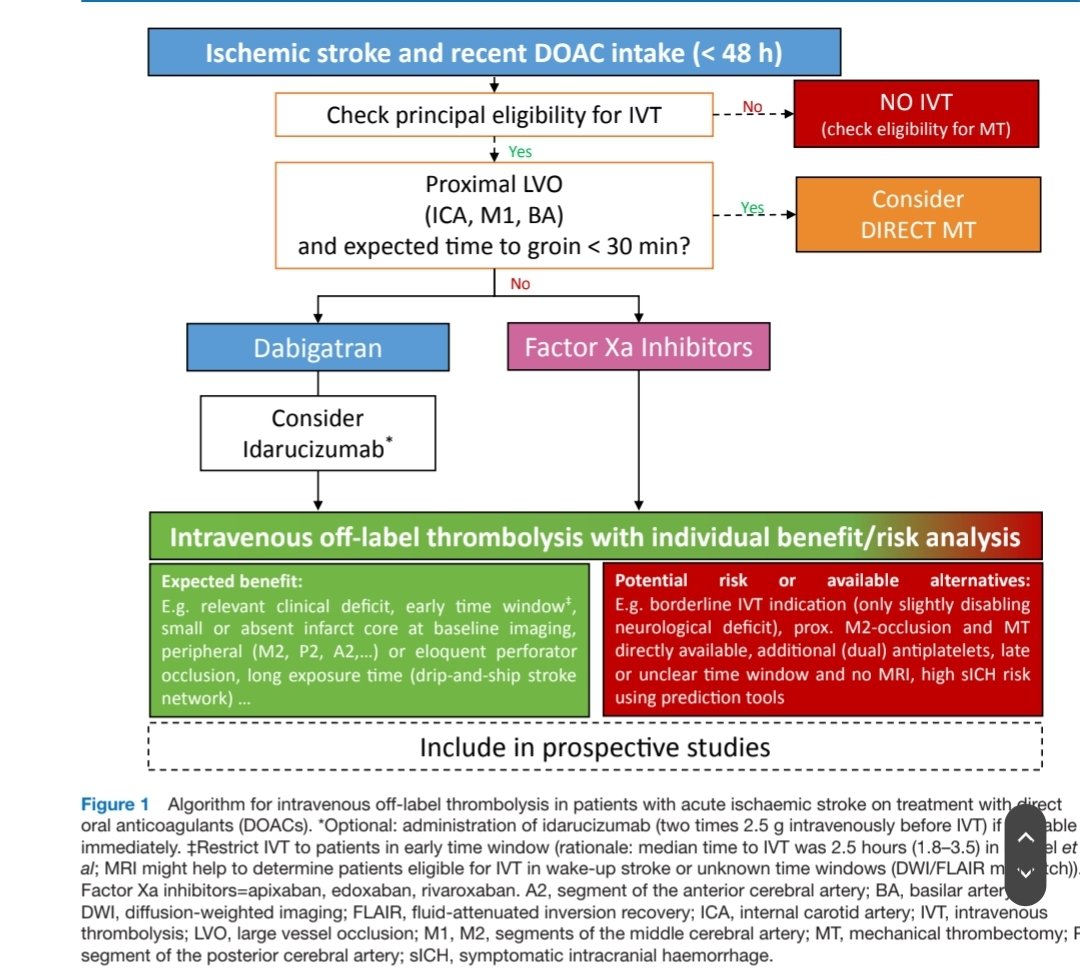 StrokeBern's tweet photo. https://t.co/4HcYDmPNen

Proposal for off-label #IVT in #stroke patients with recent #DOAC intake. 

@janpurrucker @TotoMynell DuncanWilson YingXian TeddyWu @DavidSeiffge 

@StrokeBern https://t.co/PZujoq5v53