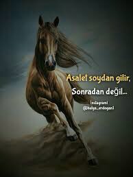 Rabbine yaslanan dik yürür