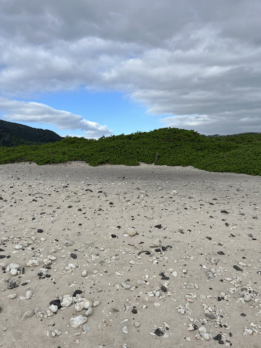 nlc808's tweet photo. @dlnr the bonfires between Sandy’s and Makapu’u are ruining the beach… look at how ugly the sand is @KHONnews @KITV4 @CivilBeat @StarAdvertiser https://t.co/JCr3ltoEWF