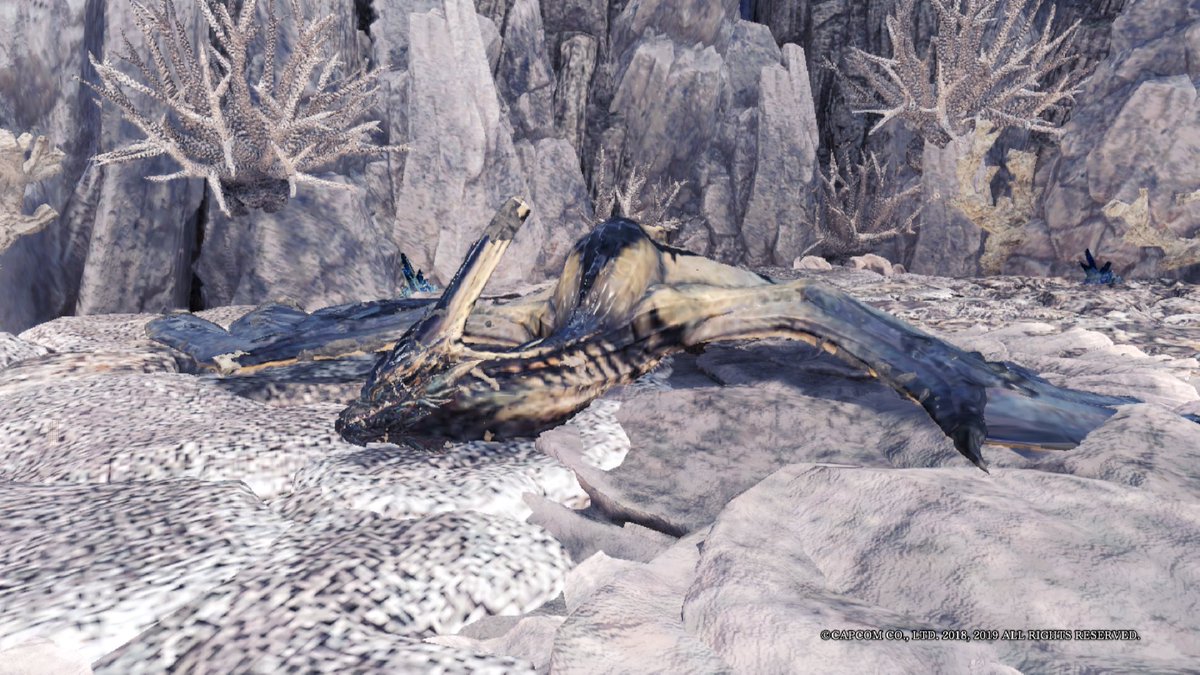 My first Legiana a couple of hours ago. This spitting dragon is one aggressive small fry.