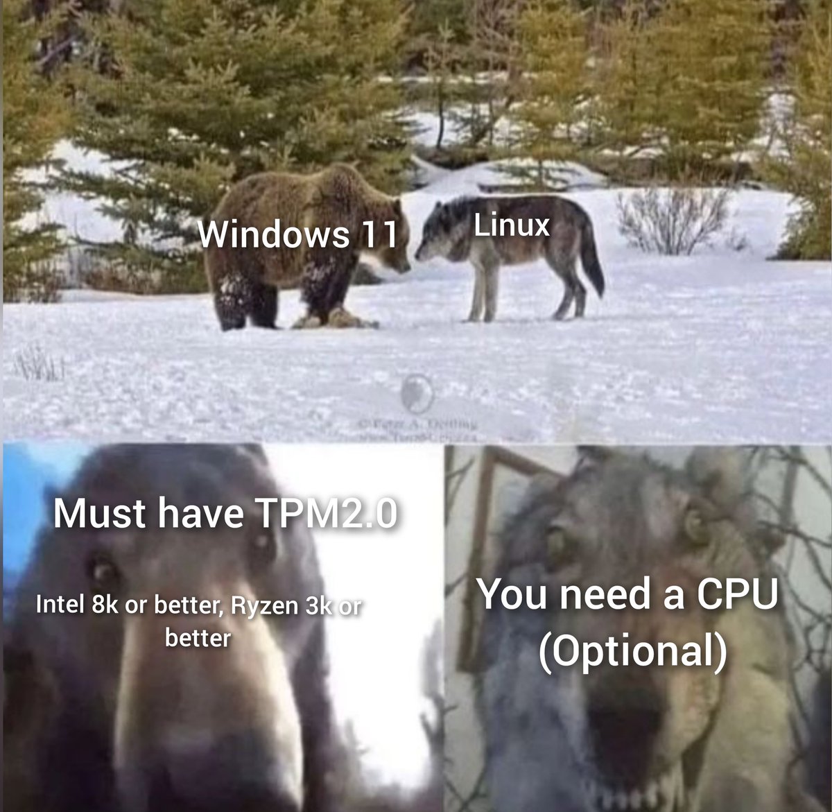 OfficialPCMR's tweet photo. Badmouth Linux all you want, but you can't deny that it sure as hell will run on just about anything.

https://t.co/l3YvClaJSW https://t.co/MiqukAqC0K