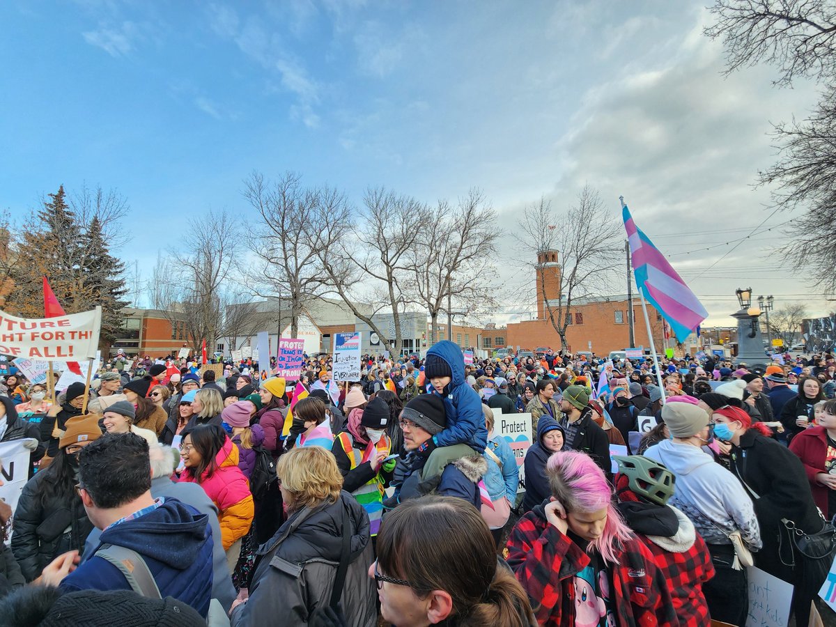 Greg Carabine tweet media