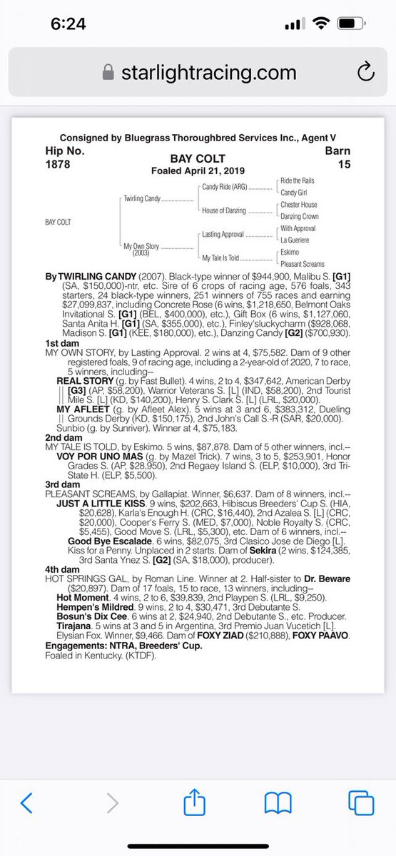 OnlyFellas🩸 tweet media