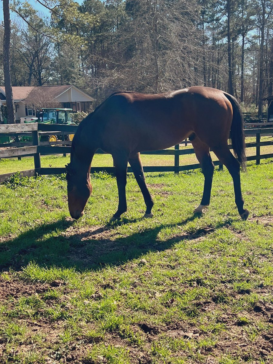 OnlyFellas🩸 tweet media