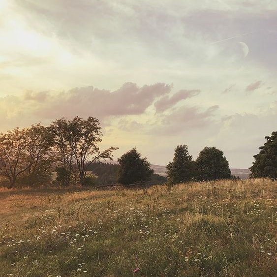 softdeIicacy's tweet image. i love sunsets.