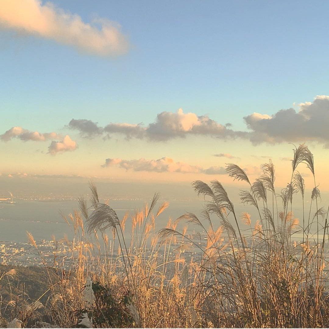 softdeIicacy's tweet image. i love sunsets.