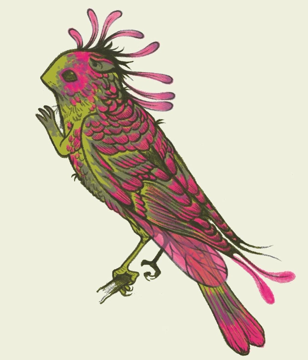 Fairy birdies 🦜✨🐿️