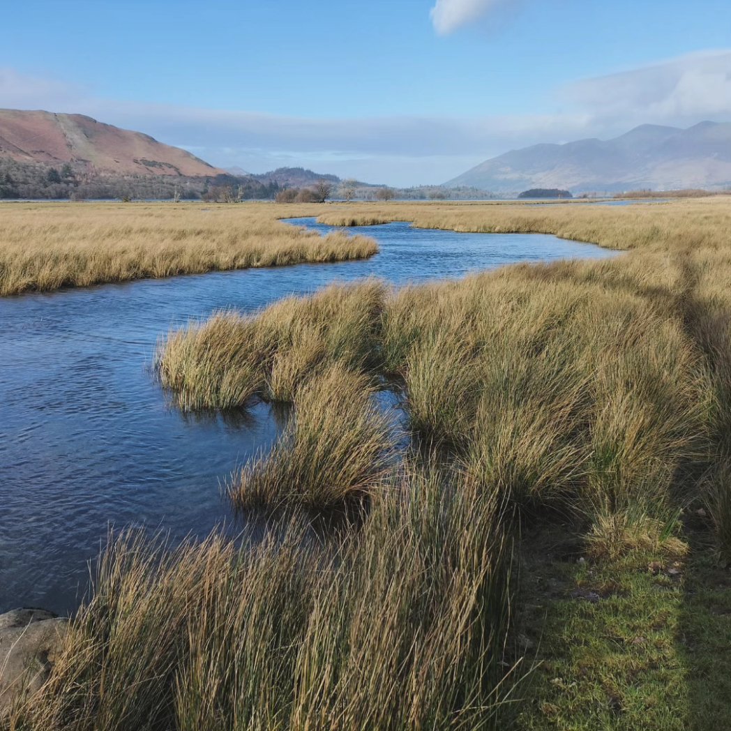 ClarenceKeswick's tweet photo. Great to have the hills on our door step. A great long loop fell run of Derwent Water via Walla Crag and Catbells. 

#Clarencehousekeswick #keswick #keswicktourism #lakedistrictfells #lakedistrictphotography #lakedistricthikers #LakeDistrict #fellrunning #trailrunning https://t.co/4CoJqzw7zG