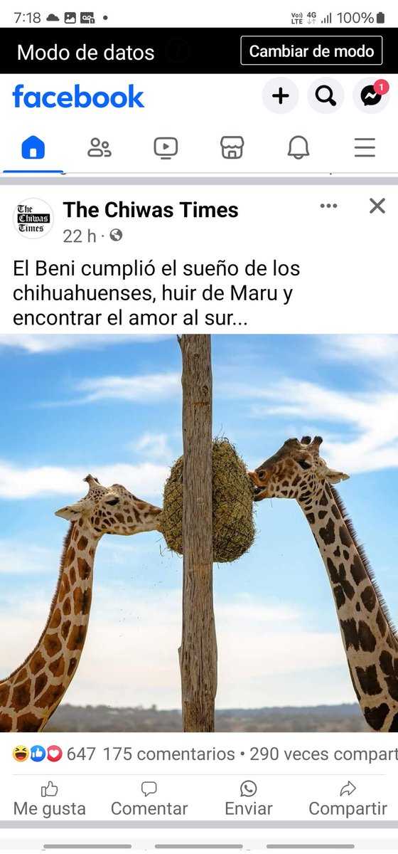 UrsulaBethManzo's tweet photo. Jajajaja ese Benito nos shingó a todos...🥰🥰 https://t.co/jtJULNRKYU