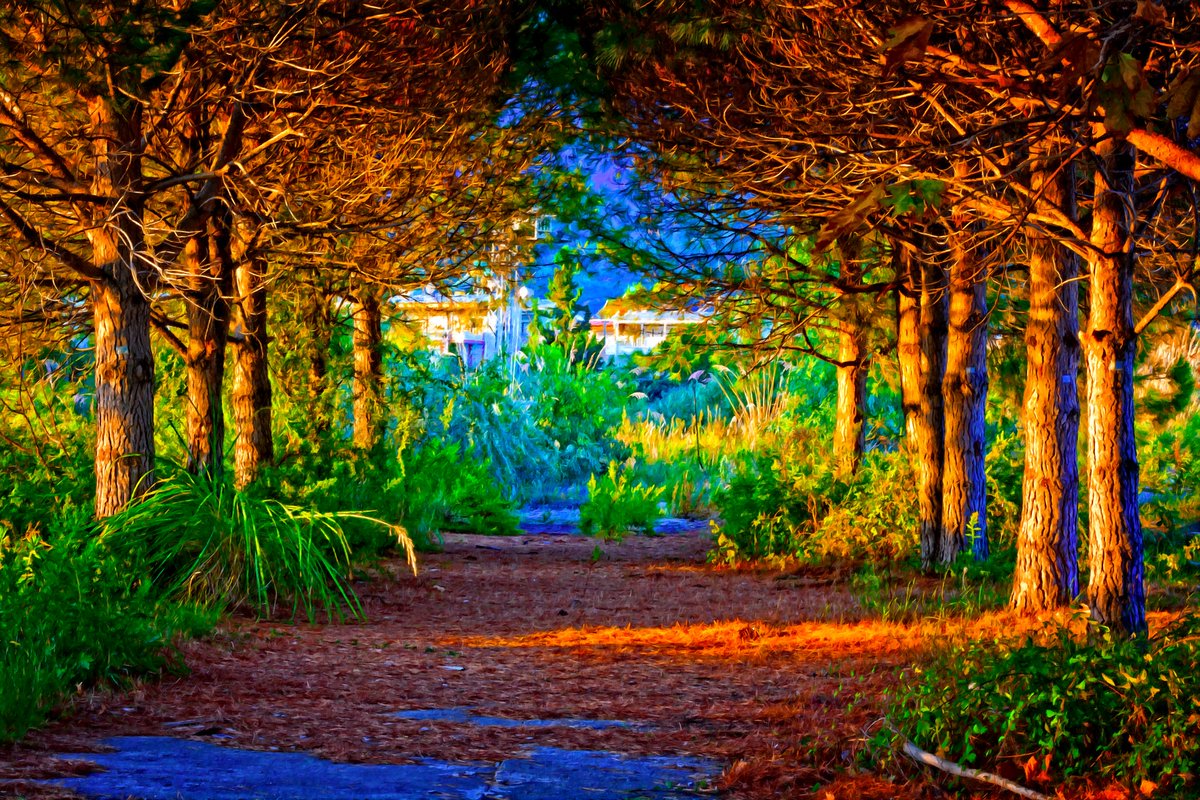 Tropical tweet media