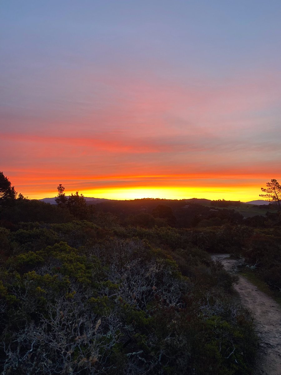 Destination Dane tweet media