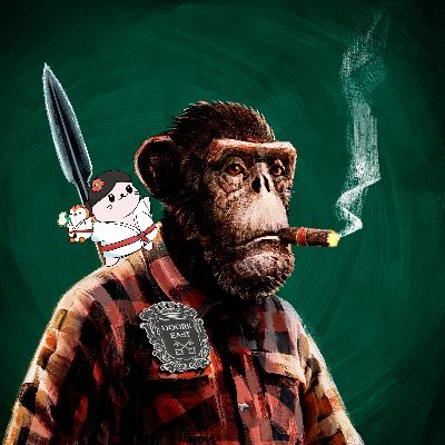 $Jub ┋ HHC ┋ $frog.daddy tweet media
