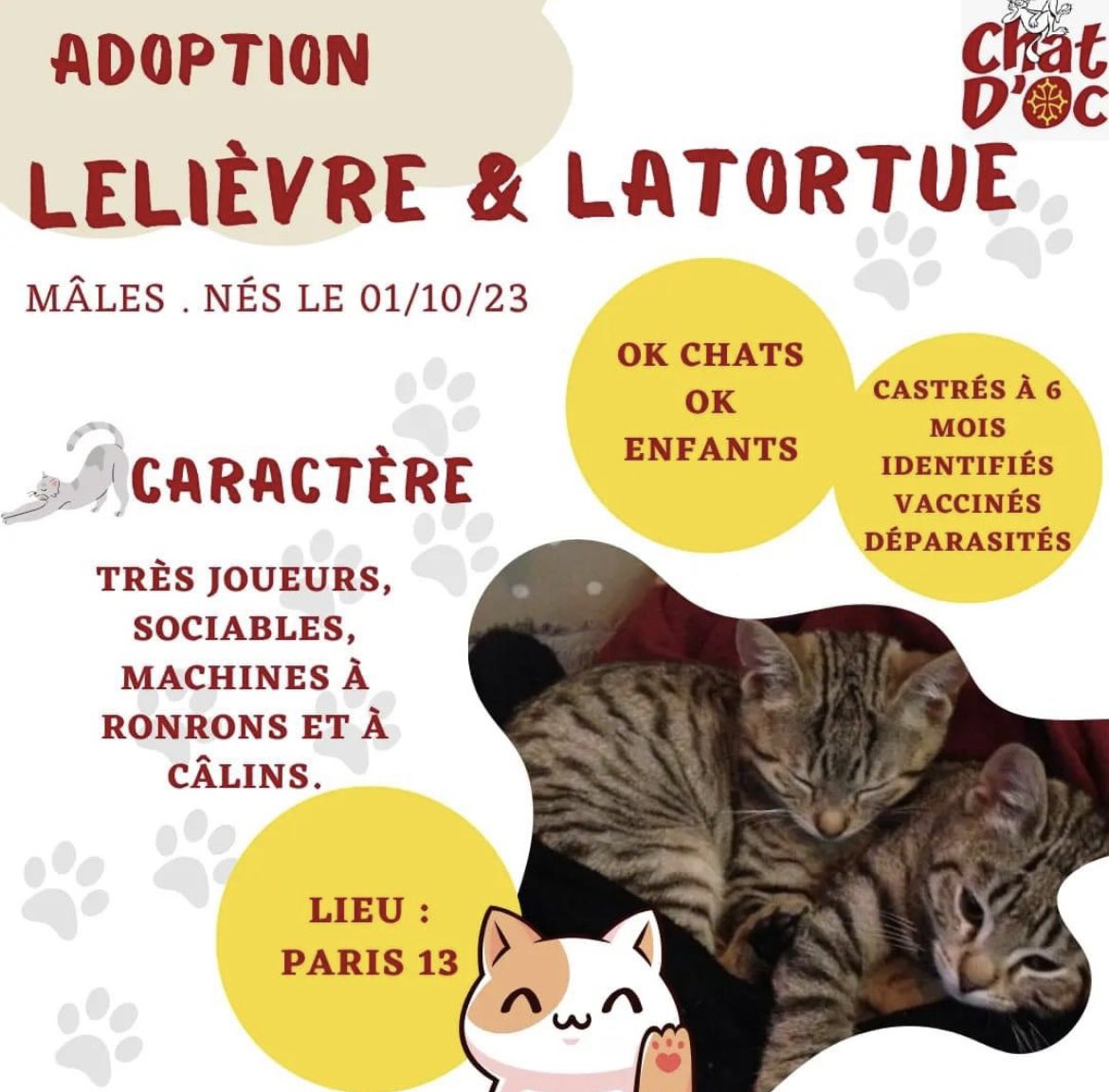 chatdoc13's tweet photo. À L'#ADOPTION #paris #iledefrance #chaton 

LELIÈVRE et LATORTUE sont deux frères de 4 mois et demi absolument adorables et pleins de vie ! LA TORTUE a malheureusement un handicap à vie : il ne peut pas utiliser son train arrière et il est complètement incontinent 🤕 🔽 https://t.co/VJQYWmVZ0e