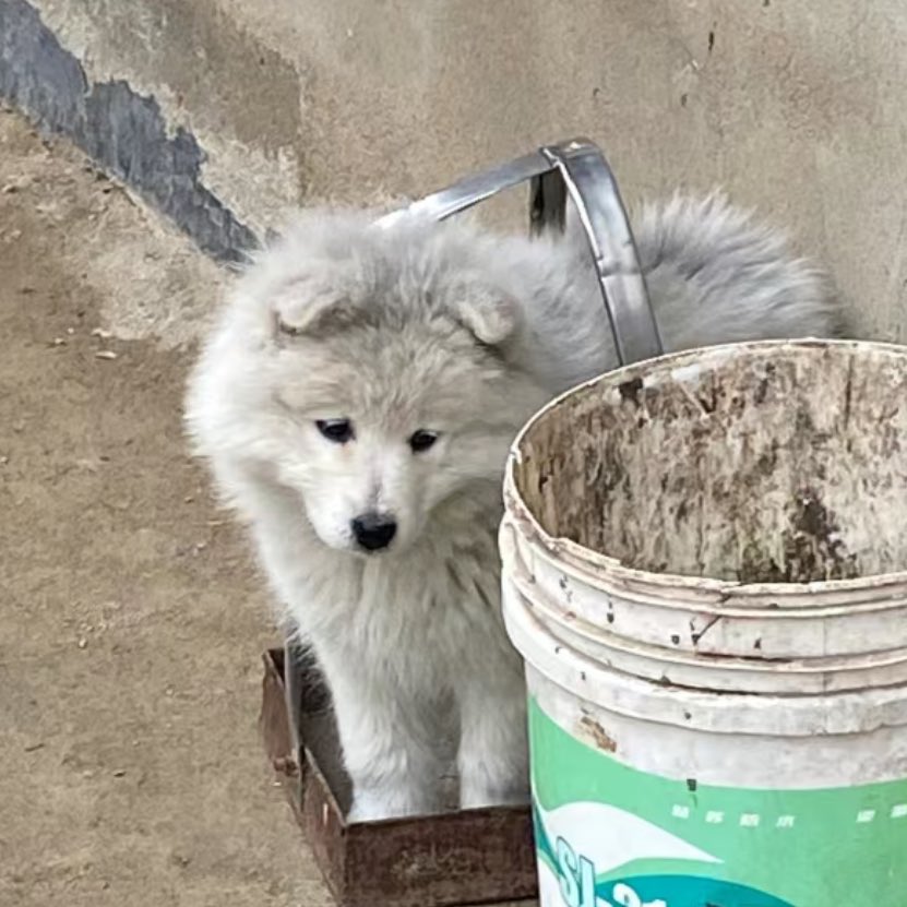 ทิชชุ่เก่าๆ