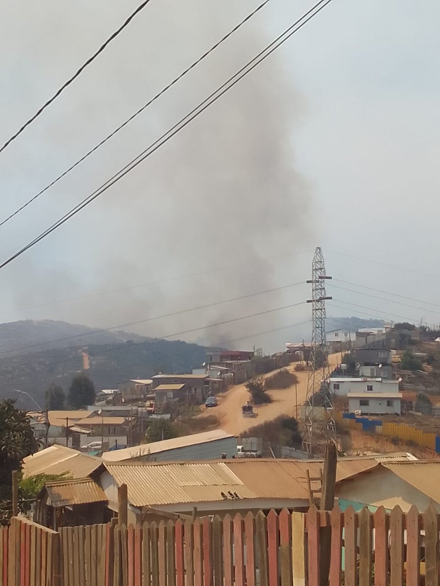 NoticiasValpoEx's tweet photo. #URGENTE #VIÑADELMAR

AHORA| Foco de incendio forestal con propagación rápida en sector Villa Rukan en Reñaca Alto, bomberos se movilizan al lugar.

Se activa alerta SAE para evacuación sector Villa La Cruz Reñaca Alto. https://t.co/lqXwkxOwWp