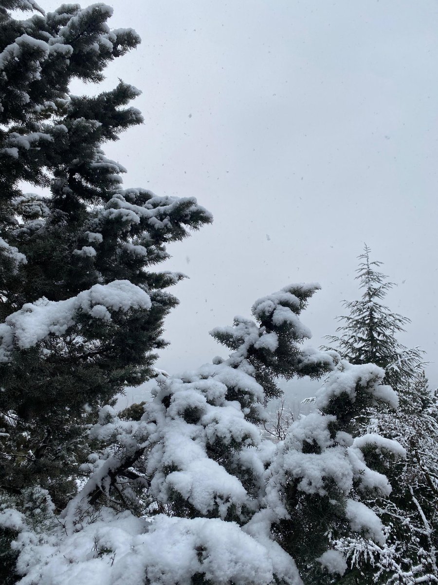 fur11qyn's tweet photo. Sheen ❄️🫀🤌 https://t.co/MHBJU2BSdN