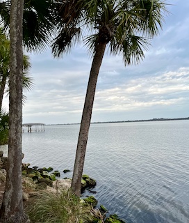 @TeamORCA Thank you for your advocacy! ORCA monitors fish health, maps pollution, and restores shoreline habitats. Healthy waters help the #BrevardIndianRiverLagoon