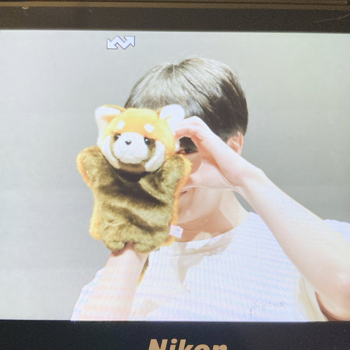 DWxxpi's tweet photo. かわいい♡ https://t.co/iJV8vF3RjS