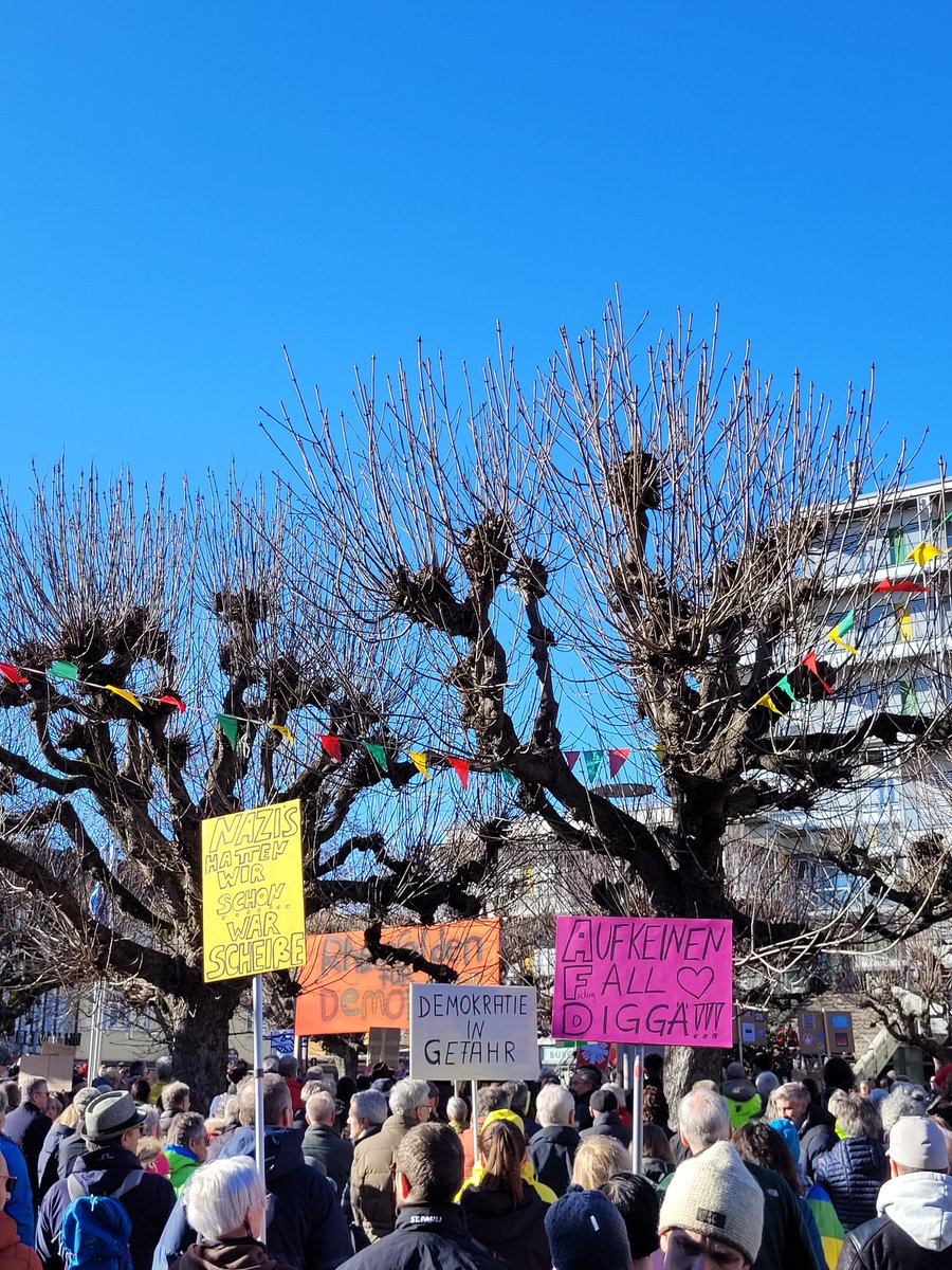 #Rheinfelden stabil für Demokratie und gegen Rechtsextremismus. ✊

#WirSindDieBrandmauer 🇩🇪
#wirsindmehr 
#niewiederistjetzt
#fckafd
#FCKNZS
