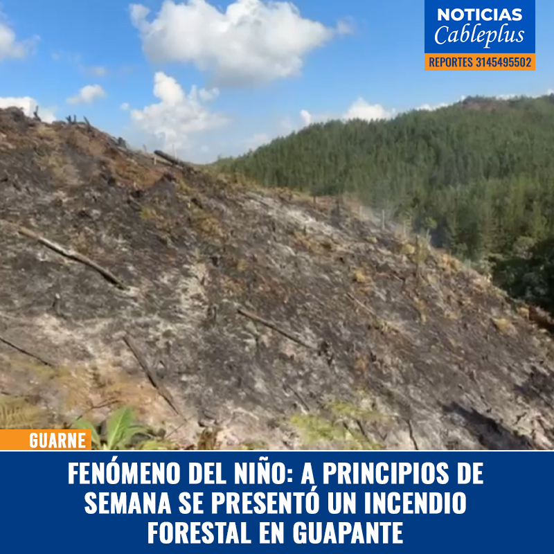 CableplusGuarne's tweet photo. #NoticiasCableplus | Fenómeno del niño: a principios de semana se presentó un incendio forestal en Guapante.

https://t.co/o0nP0Lvmho https://t.co/PNypOq0phg