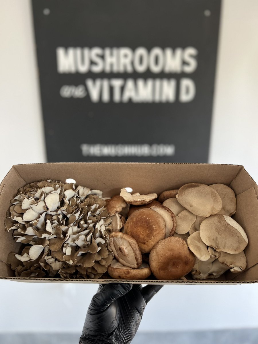 #Mushrooms are #VitaminD