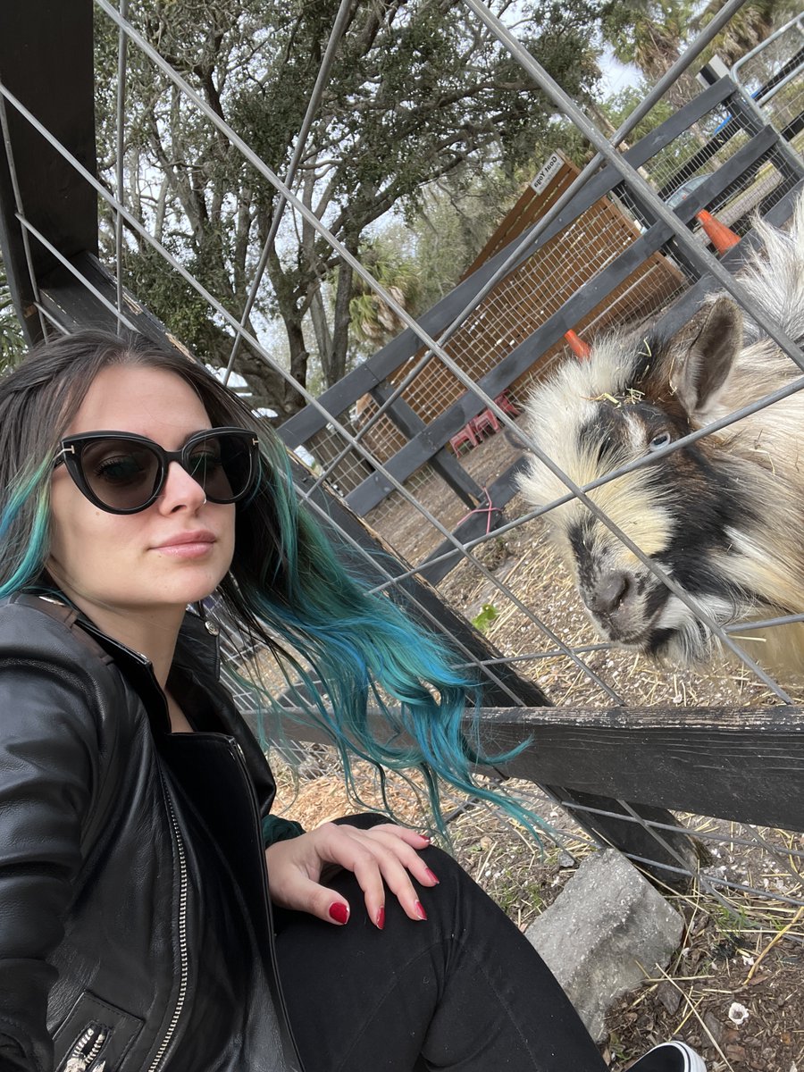 CookingOnBudget's tweet photo. Went to DK Farms in Largo, FL (near Clearwater) So cute!!! You can feet and pet the donkeys, they also have ponies and bunnies! AND mini golf, perfect idea for a cute date night #florida #pettinzoo https://t.co/GF1PM0lhiN