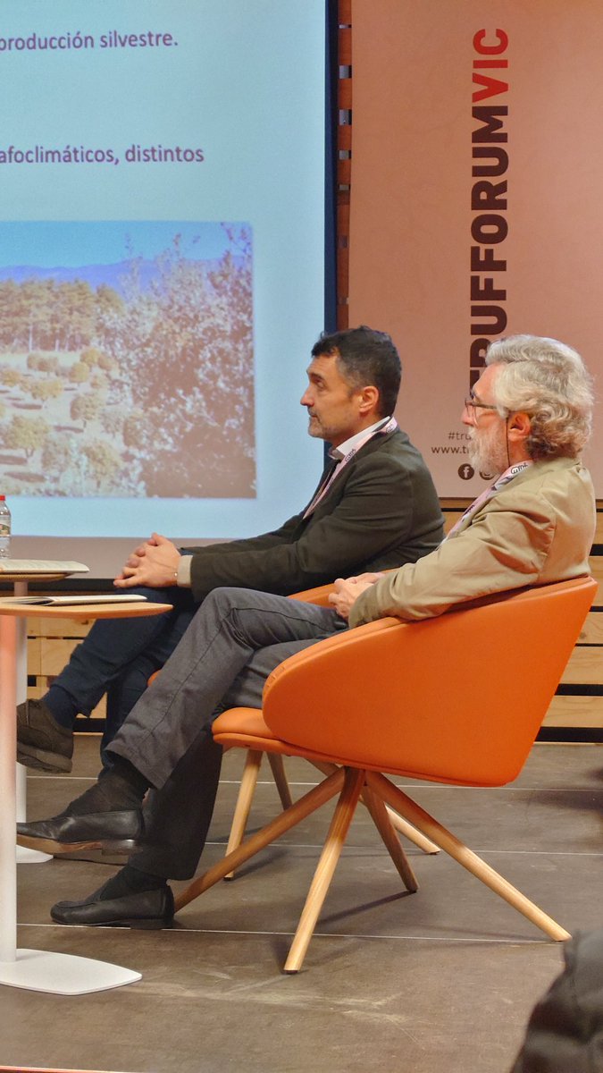 Trufforumofic's tweet photo. Learn about the cutting-edge research on #truffle by @Europeanmico partners @IDForest  @ctforestal @TrufaTeruel at the #Trufforum in Vic 2024! Don’t miss the sessions moderated by experts Carlos Colinas (@ctforestal) and Fernando Martínez Peña (@CITAAragon).
#cooperation https://t.co/qlCK2CNcPa