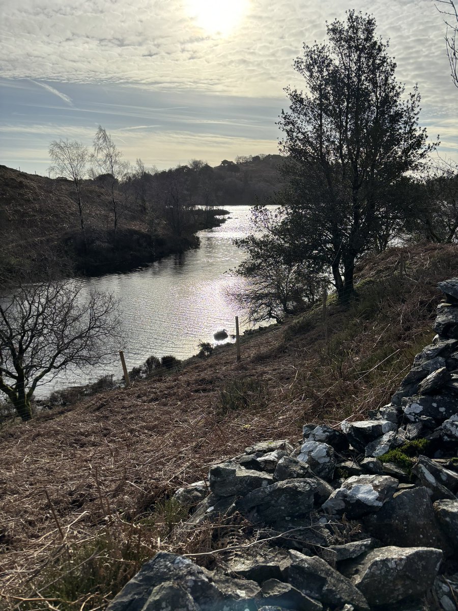 bigbaddoctor's tweet photo. Our favourite Lakes walk
High Dam, Rusland Heights and Boretree Tarn circular with a mid-walk swim for my better, hardier half in HD itself 
Beautiful day and glorious weather 
#lakedistrict #highdam #wildswim #walking https://t.co/eiCxdTbgaH