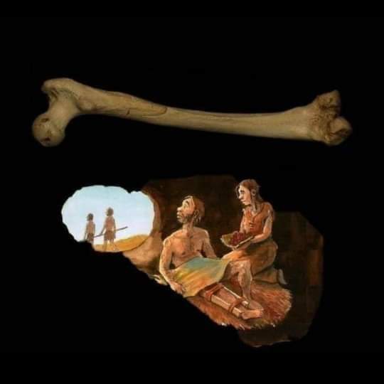 At a conference, a college student asked anthropologist Margaret Mead what she considered to be the first sign of civilization in a culture. The student expected Mead to talk about spears, clay pots, or whetstones.

But no, Mead responded that the first sign of civilization in an