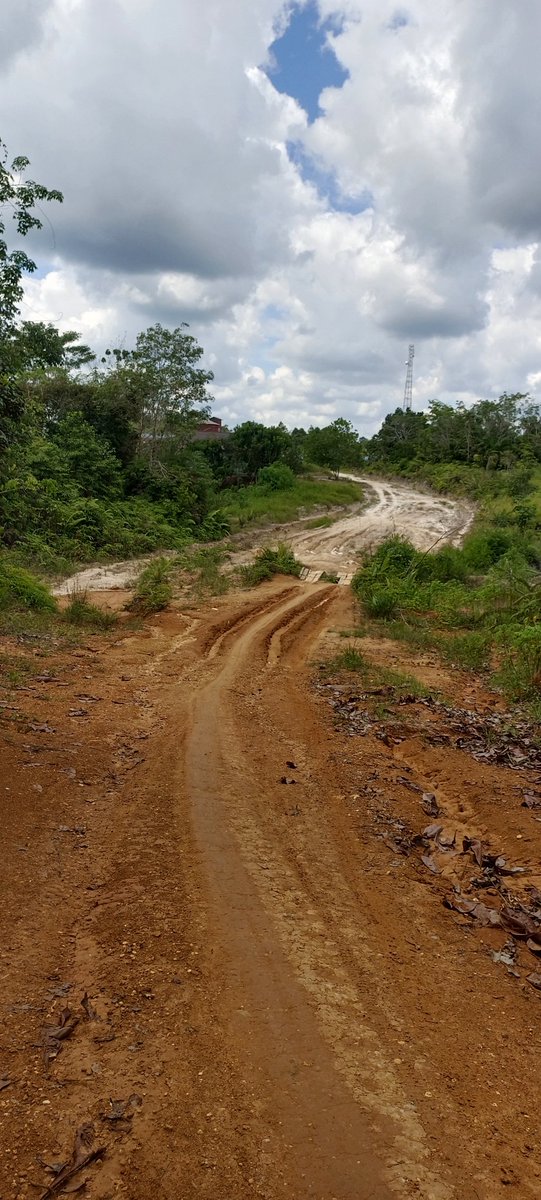 sniper323461's tweet photo. @jokowi Jl. Lintas kab.kapuas/kapuas tengah,kalimantan tengah RUSAK PARAH pak terutama di kec. Pasak talawang &amp; mandau talawang &amp; sampai detik inipun tidak ada perhatian untuk diperbaiki. Mohon untuk ditindak lanjuti Yth .bapak Presiden Joko widodo.🙏terima kasih https://t.co/HSgCmxY13G