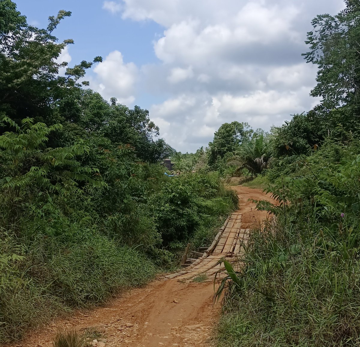 sniper323461's tweet photo. @jokowi Jl. Lintas kab.kapuas/kapuas tengah,kalimantan tengah RUSAK PARAH pak terutama di kec. Pasak talawang &amp; mandau talawang &amp; sampai detik inipun tidak ada perhatian untuk diperbaiki. Mohon untuk ditindak lanjuti Yth .bapak Presiden Joko widodo.🙏terima kasih https://t.co/Eh0ezYIJMz
