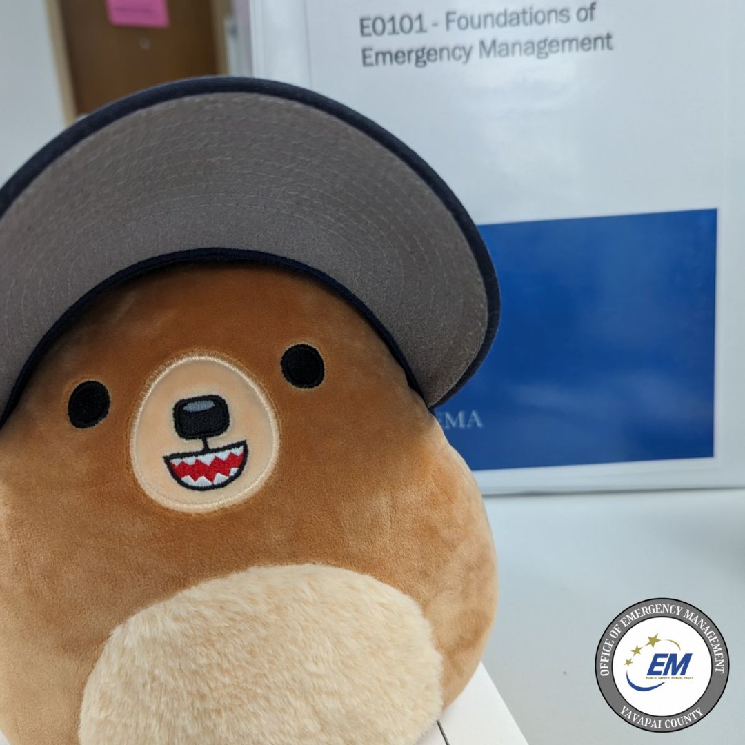 YavapaiOEM's tweet photo. Aware Bear had an exciting week attending the L0101 Foundations of Emergency Management Training with our EM Deputy Manager and EM Coordinator! It's clear that Aware Bear made a lot of friends during the training 😄 #YavapaiCounty #AwareBearAdventures #EMTraining #AZDEMA https://t.co/0sDCnb9E2U