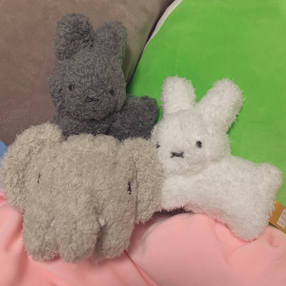 yune17k's tweet photo. えっ、可愛い… https://t.co/y86naPlkV5